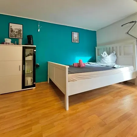Mit Garten - Naehe Universitaetsklinikum Neuenheim Apartment