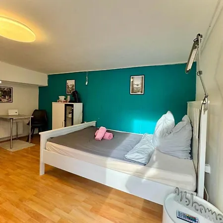 Apartment Mit Garten - Naehe Universitaetsklinikum Neuenheim