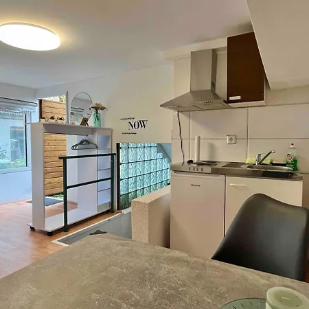 Apartment Mit Garten - Naehe Universitaetsklinikum Neuenheim
