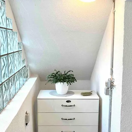 Mit Garten - Naehe Universitaetsklinikum Neuenheim Apartment Heidelberg